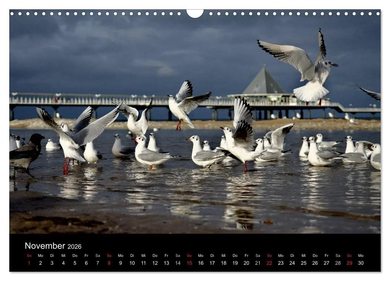 Bild: 9783457287507 | Usedom 2026 Rendezvous zwischen Ahlbeck und Heringsdorf...
