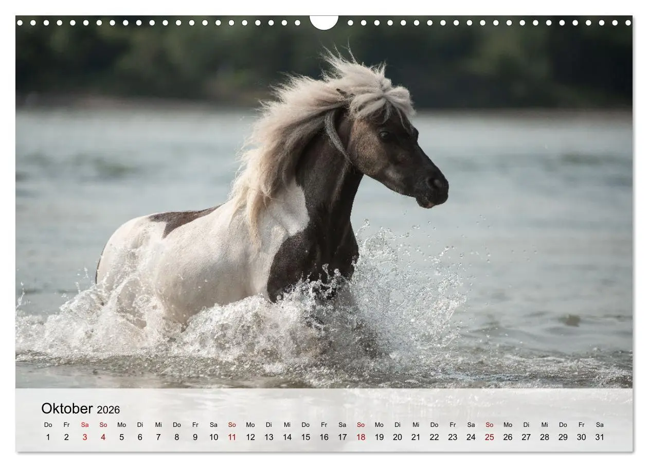 Bild: 9783457667507 | Pferde 2026 Kraft und Anmut (Wandkalender 2026 DIN A3 quer),...
