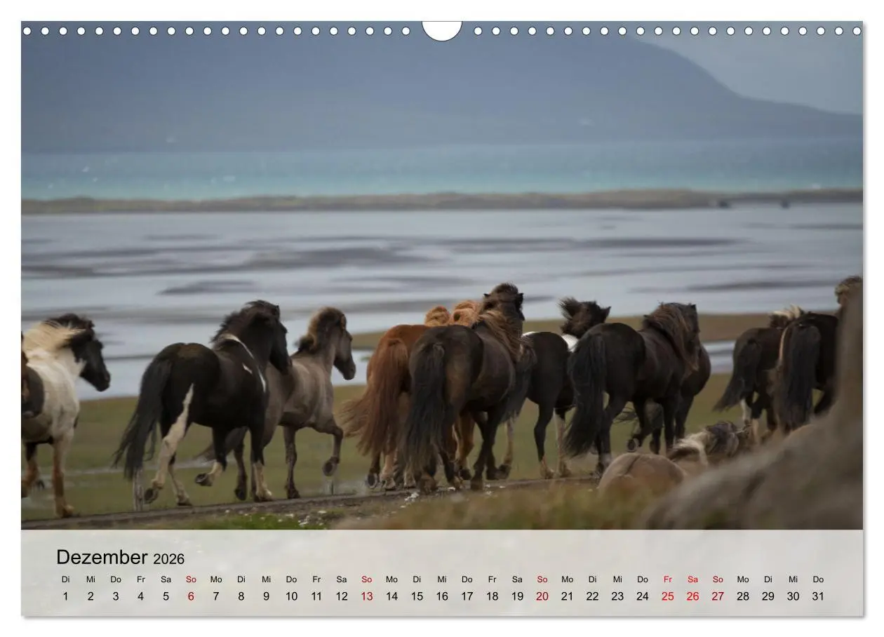 Bild: 9783457667507 | Pferde 2026 Kraft und Anmut (Wandkalender 2026 DIN A3 quer),...