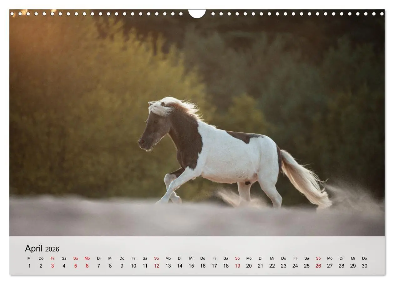 Bild: 9783457667507 | Pferde 2026 Kraft und Anmut (Wandkalender 2026 DIN A3 quer),...