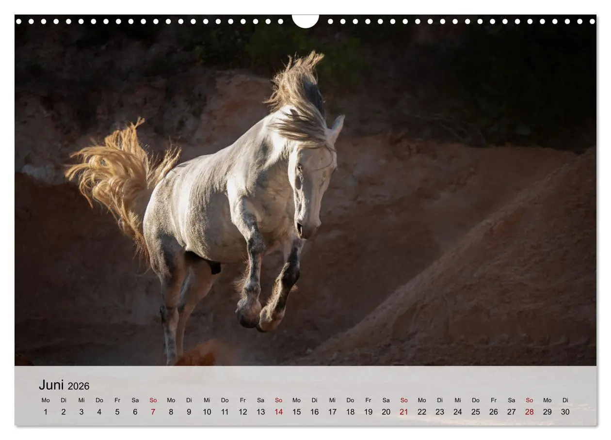 Bild: 9783457667507 | Pferde 2026 Kraft und Anmut (Wandkalender 2026 DIN A3 quer),...