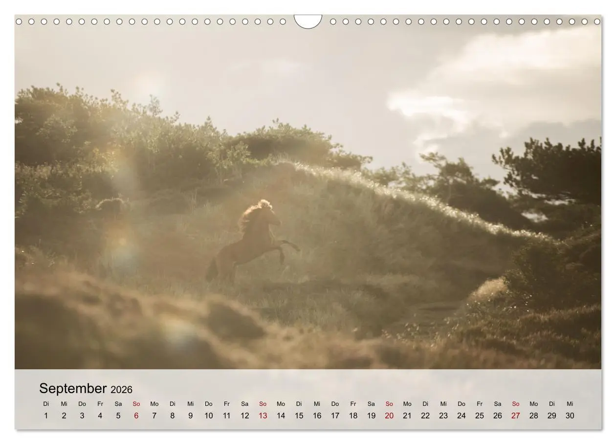 Bild: 9783457667507 | Pferde 2026 Kraft und Anmut (Wandkalender 2026 DIN A3 quer),...