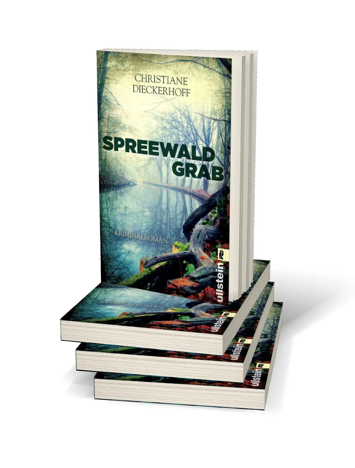 Bild: 9783548287607 | Spreewaldgrab | Christiane Dieckerhoff | Taschenbuch | 352 S. | 2016