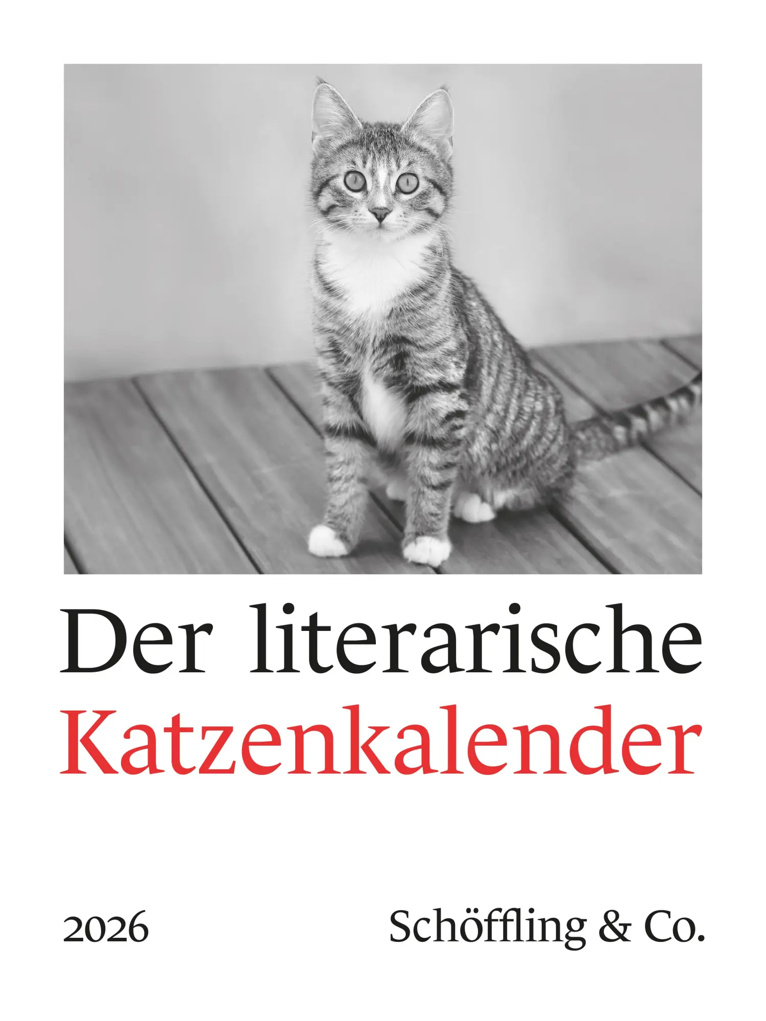 Cover: 9783895617607 | Der literarische Katzenkalender 2026 | Julia Bachstein | Kalender