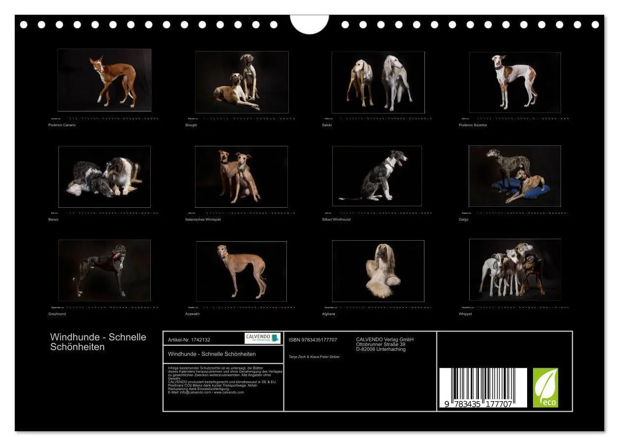 Bild: 9783435177707 | Windhunde - Schnelle Schönheiten (Wandkalender 2025 DIN A4 quer),...