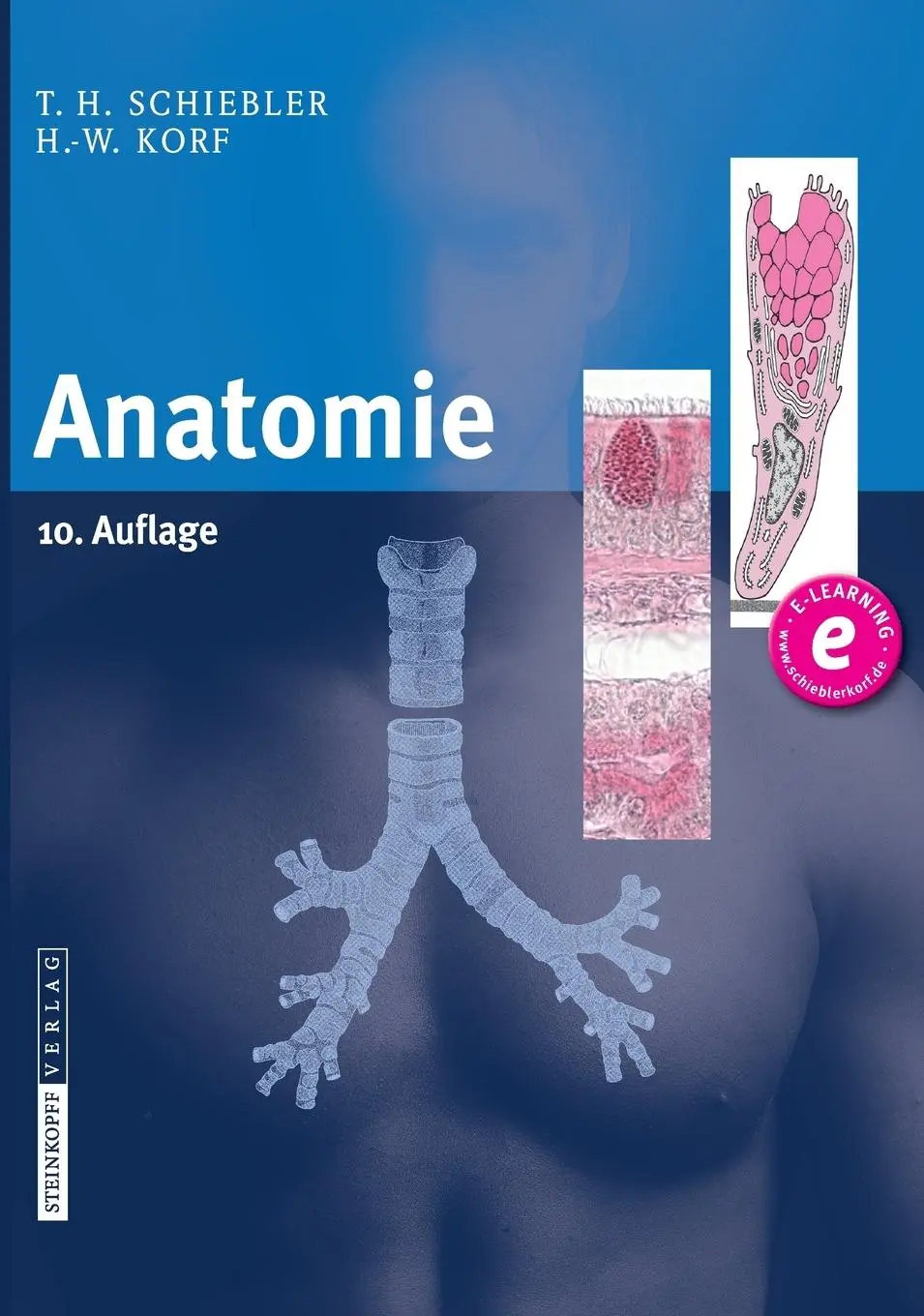 Cover: 9783798517707 | Anatomie | Theodor Heinrich Schiebler (u. a.) | Buch | xvii | Deutsch