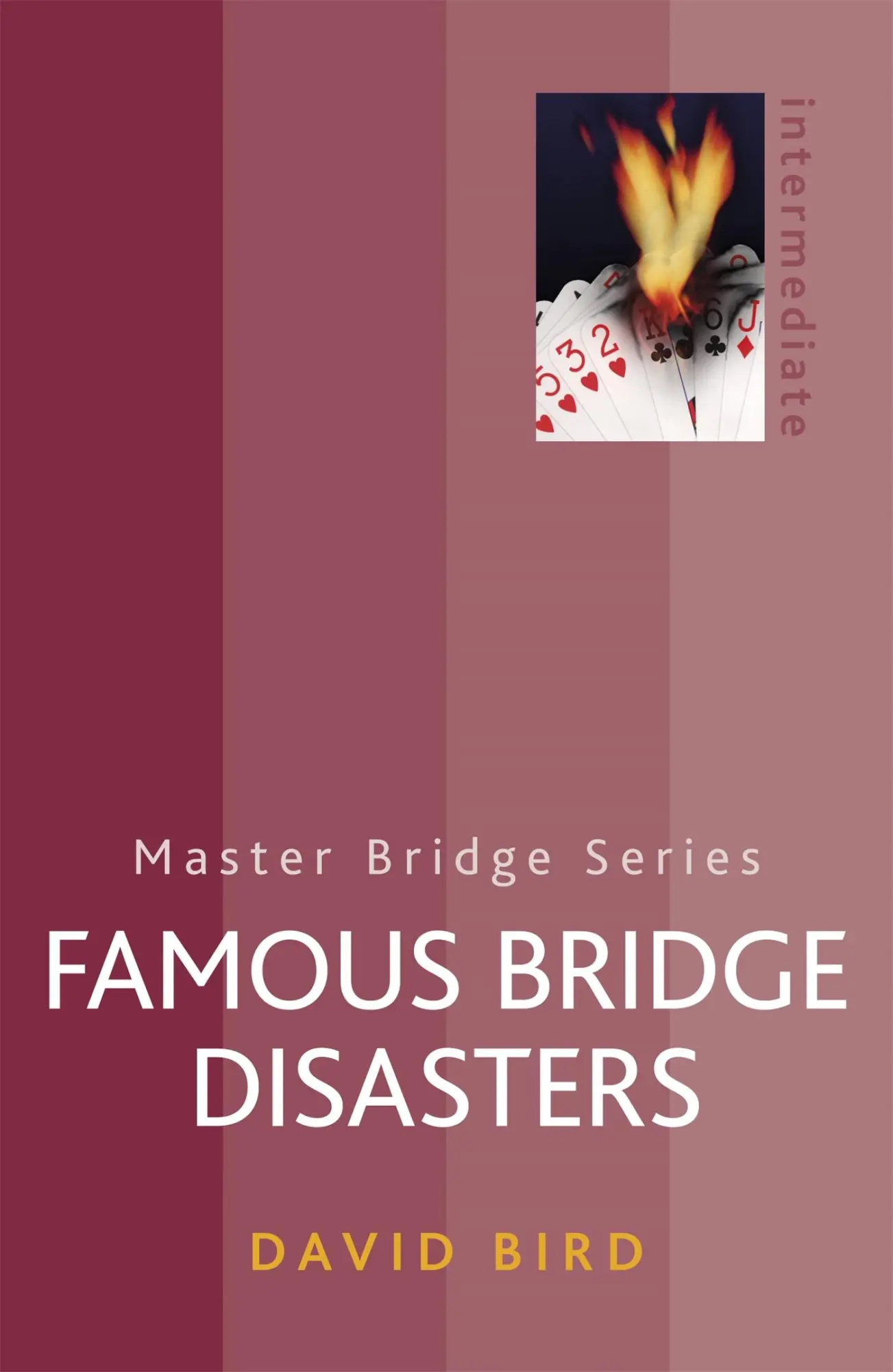 Cover: 9780297867807 | Famous Bridge Disasters | David Bird | Taschenbuch | Englisch | 2012