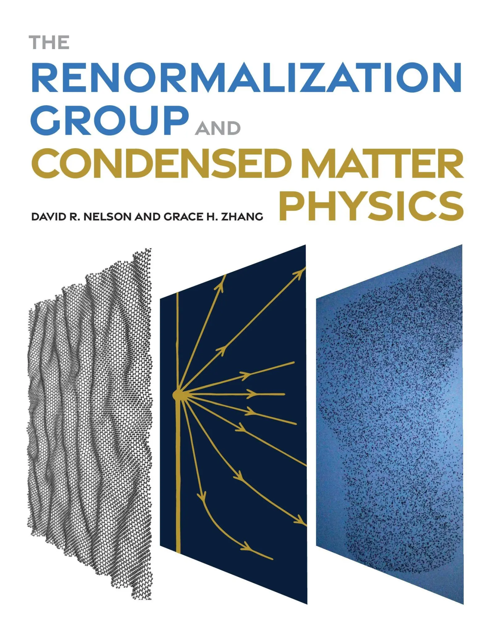 Cover: 9780691257907 | The Renormalization Group and Condensed Matter Physics | Buch | 2025