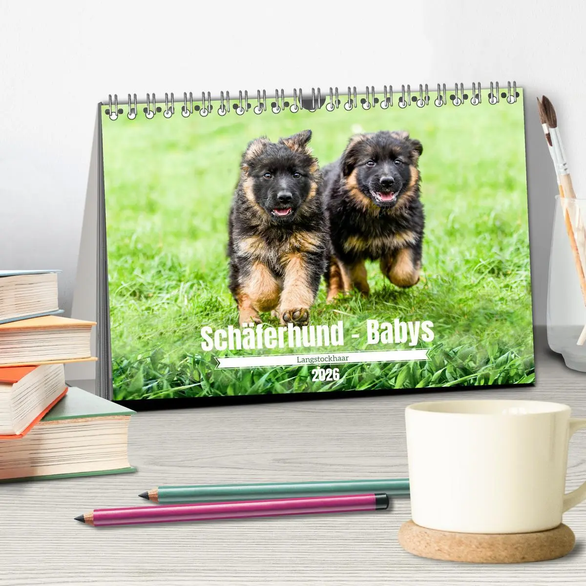 Bild: 9783457518007 | Langstockhaar - Schäferhund - Babys (Tischkalender 2026 DIN A5...