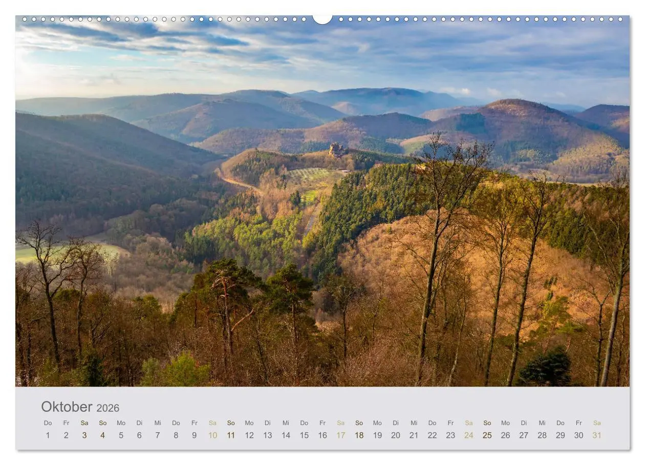 Bild: 9783457688007 | Augenblicke im Pfälzerwald (hochwertiger Premium Wandkalender 2026...