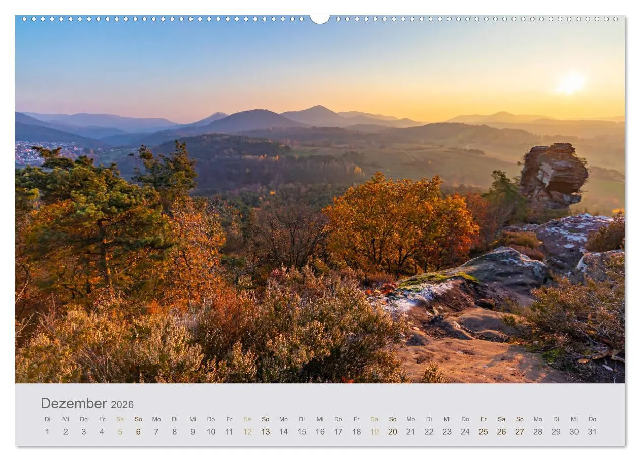 Bild: 9783457688007 | Augenblicke im Pfälzerwald (hochwertiger Premium Wandkalender 2026...