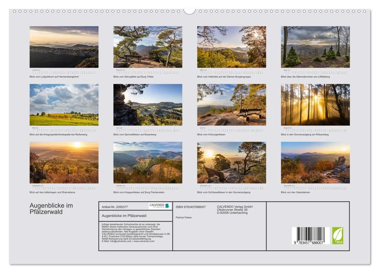 Bild: 9783457688007 | Augenblicke im Pfälzerwald (hochwertiger Premium Wandkalender 2026...
