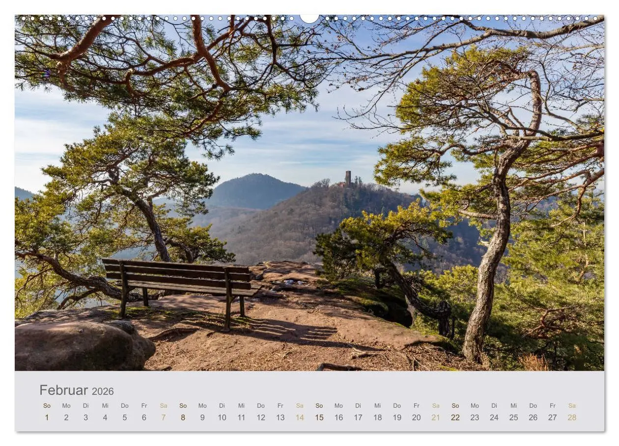 Bild: 9783457688007 | Augenblicke im Pfälzerwald (hochwertiger Premium Wandkalender 2026...