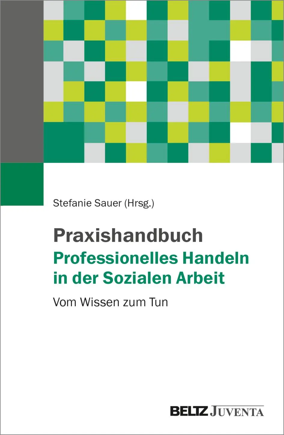 Cover: 9783779988007 | Praxishandbuch Professionelles Handeln in der Sozialen Arbeit | Sauer