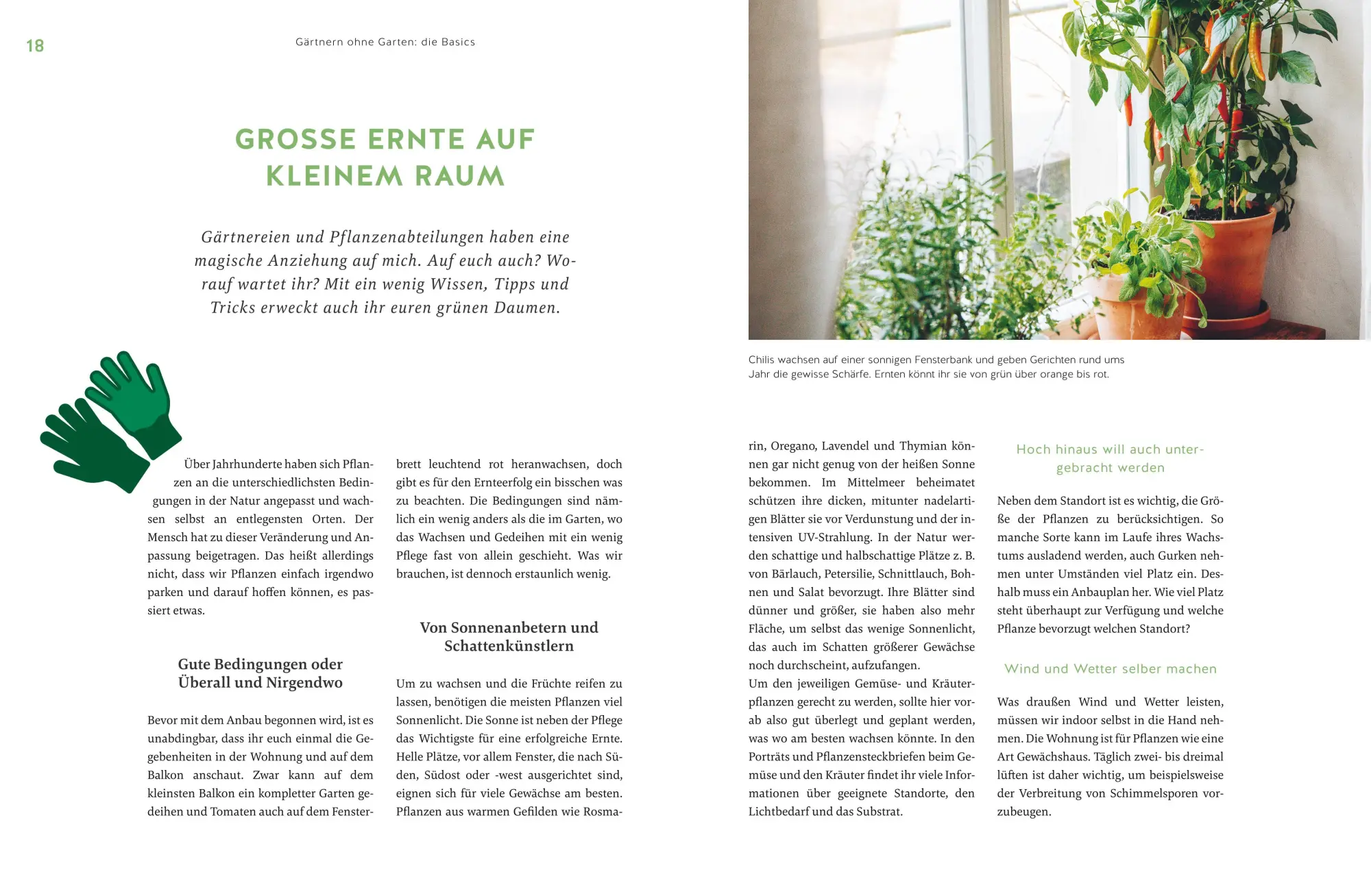 Bild: 9783833888007 | Deine Fensterbank kann Garten! | Annemarie Imgrund | Buch | 160 S.