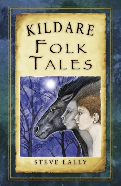 Cover: 9781845888107 | Kildare Folk Tales | Steve Lally | Taschenbuch | Englisch | 2014