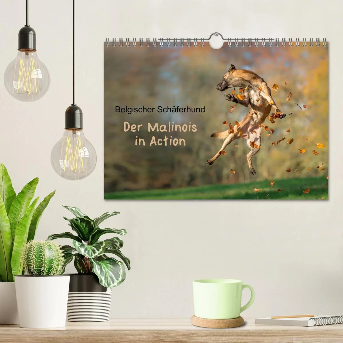 Bild: 9783516078107 | Belgischer Schäferhund - Der Malinois in Action (Wandkalender 2026...