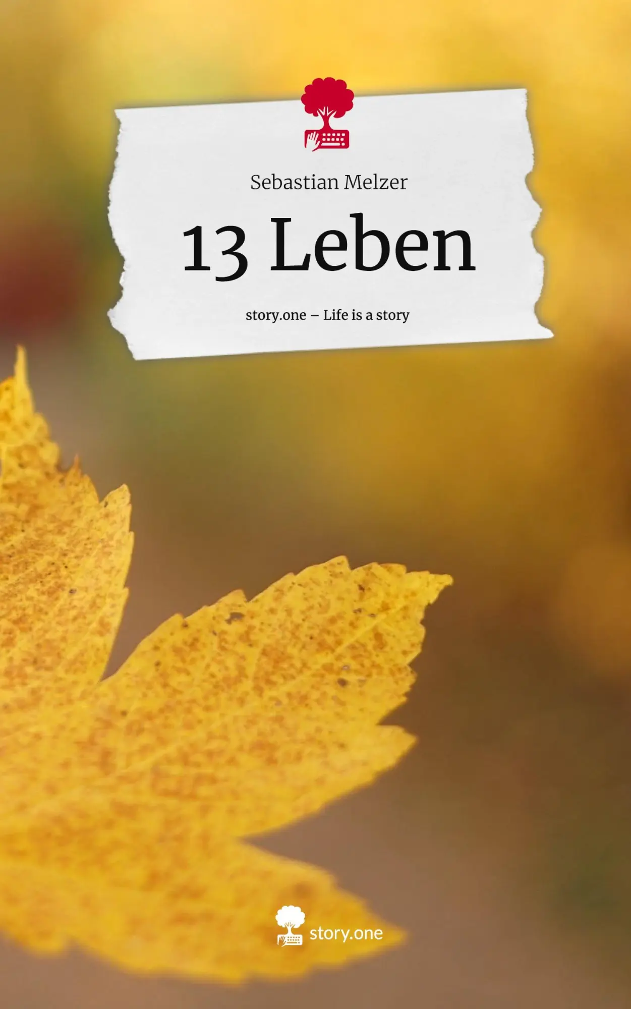 Cover: 9783711558107 | 13 Leben. Life is a Story - story.one | Sebastian Melzer | Buch | 2024
