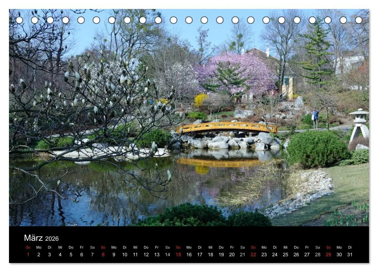 Bild: 9783516208207 | Wien (Tischkalender 2026 DIN A5 quer), CALVENDO Monatskalender | 2026