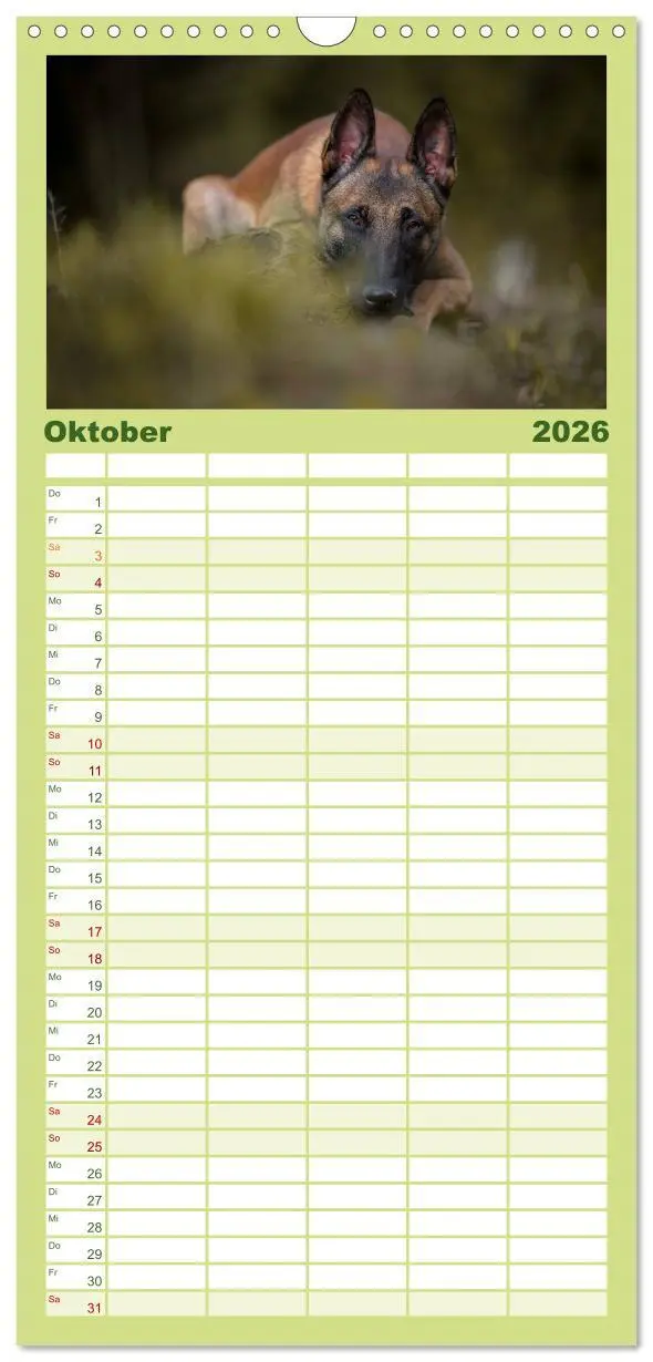 Bild: 9783516518207 | Familienplaner 2026 - Belgischer Schäferhund - Der Malinois mit 5...