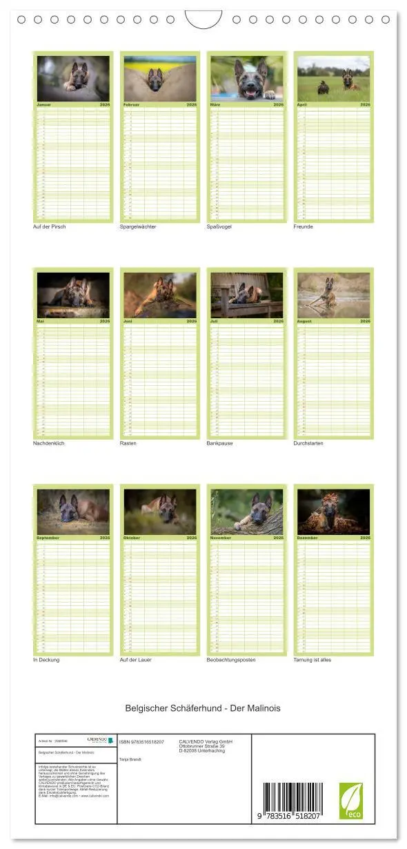 Bild: 9783516518207 | Familienplaner 2026 - Belgischer Schäferhund - Der Malinois mit 5...