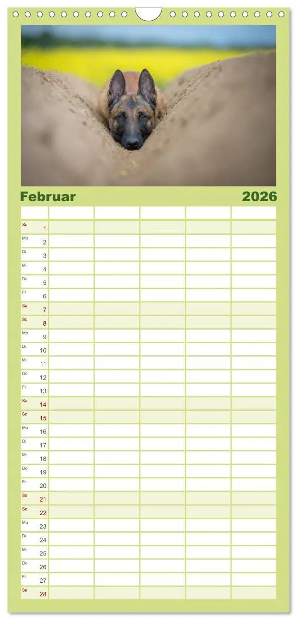 Bild: 9783516518207 | Familienplaner 2026 - Belgischer Schäferhund - Der Malinois mit 5...