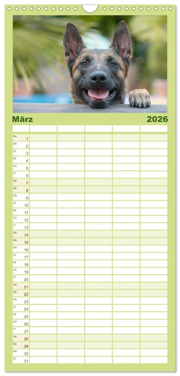 Bild: 9783516518207 | Familienplaner 2026 - Belgischer Schäferhund - Der Malinois mit 5...