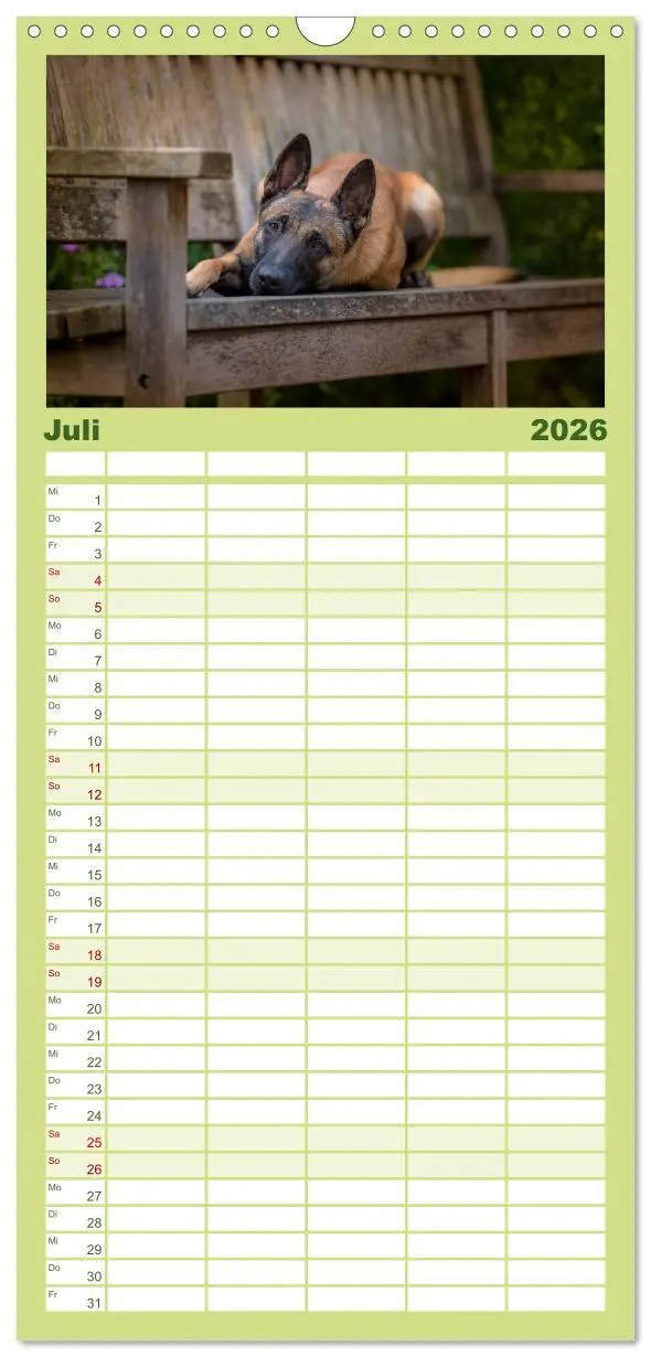 Bild: 9783516518207 | Familienplaner 2026 - Belgischer Schäferhund - Der Malinois mit 5...