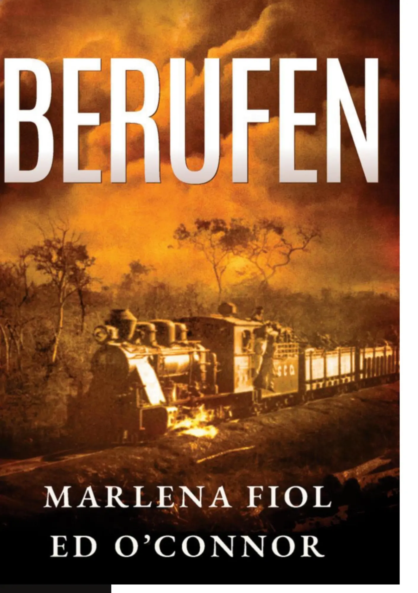 Cover: 9783769378207 | Berufen | Nach einer wahren Geschichte | Marlena/Ed Fiol/O'Connor