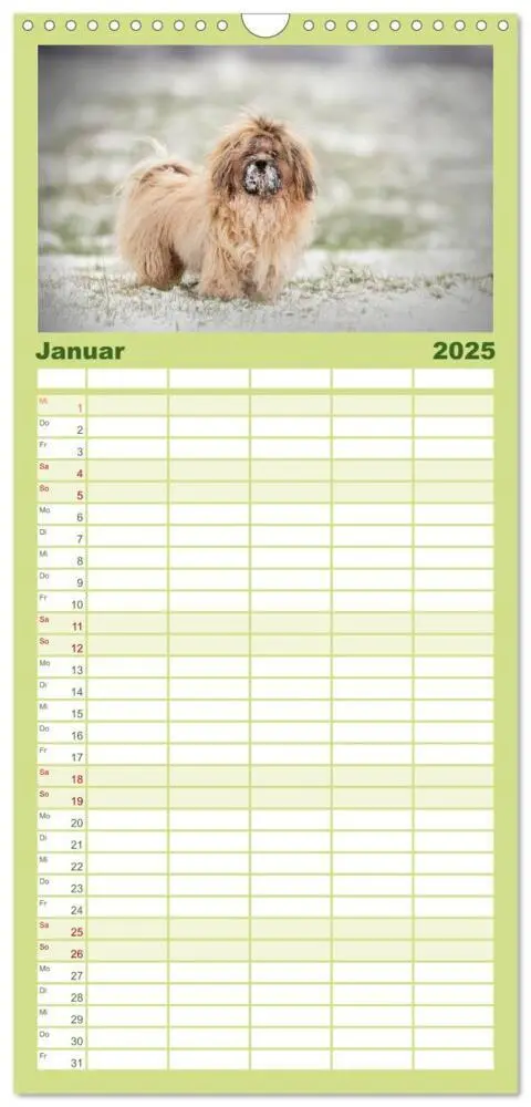Bild: 9783457108307 | Familienplaner 2025 - Havaneser - Wirbelwinde aus Kuba mit 5...