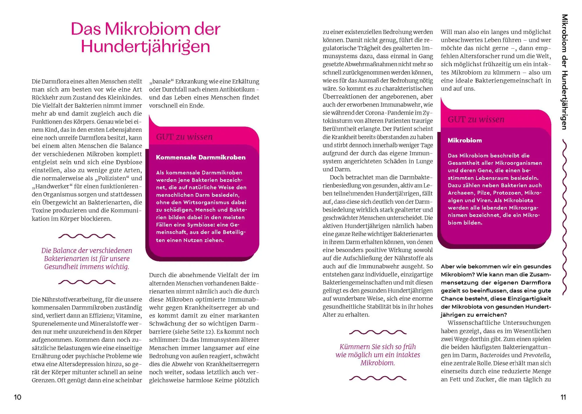 Bild: 9783708808307 | Der Darm | Anita Frauwallner | Taschenbuch | 112 S. | Deutsch | 2023