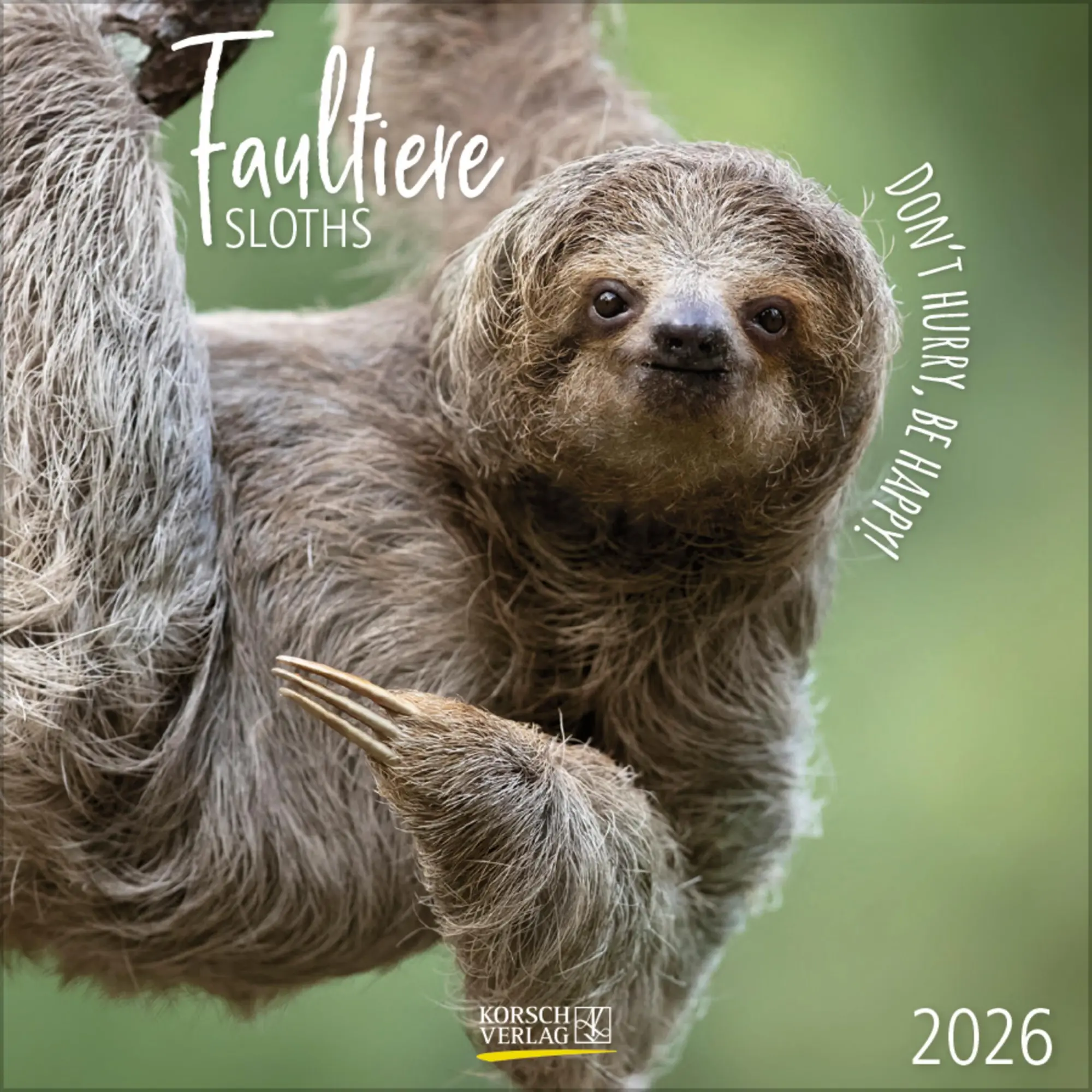 Cover: 9783731888307 | Faultier 2026 | Verlag Korsch | Kalender | 13 S. | Deutsch | 2026