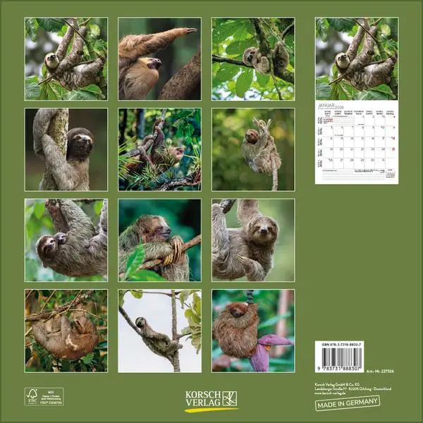 Bild: 9783731888307 | Faultier 2026 | Verlag Korsch | Kalender | 13 S. | Deutsch | 2026