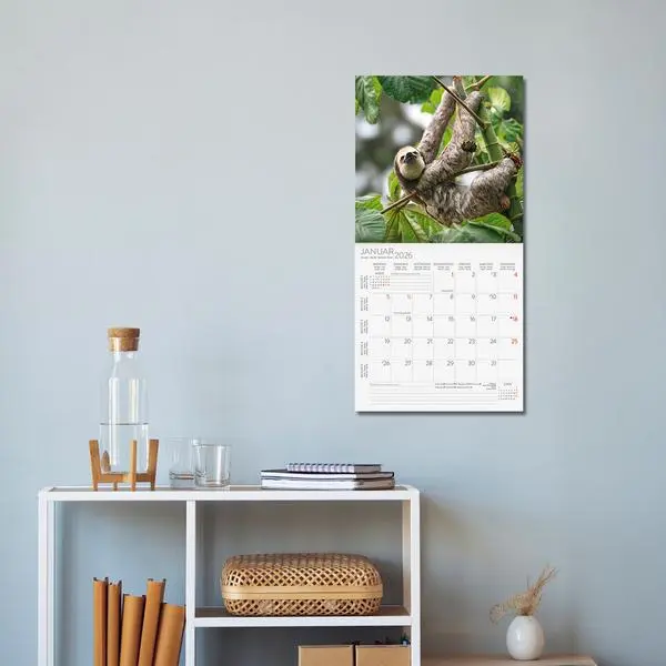 Bild: 9783731888307 | Faultier 2026 | Verlag Korsch | Kalender | 13 S. | Deutsch | 2026