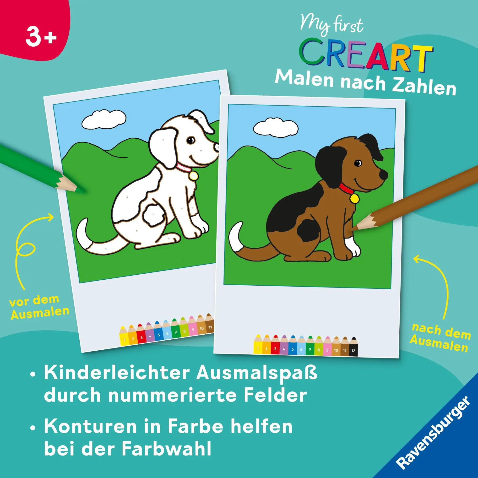 Bild: 9783473488407 | My first CreArt Malen nach Zahlen ab 3 - Tiere | Katrin Merle | Buch