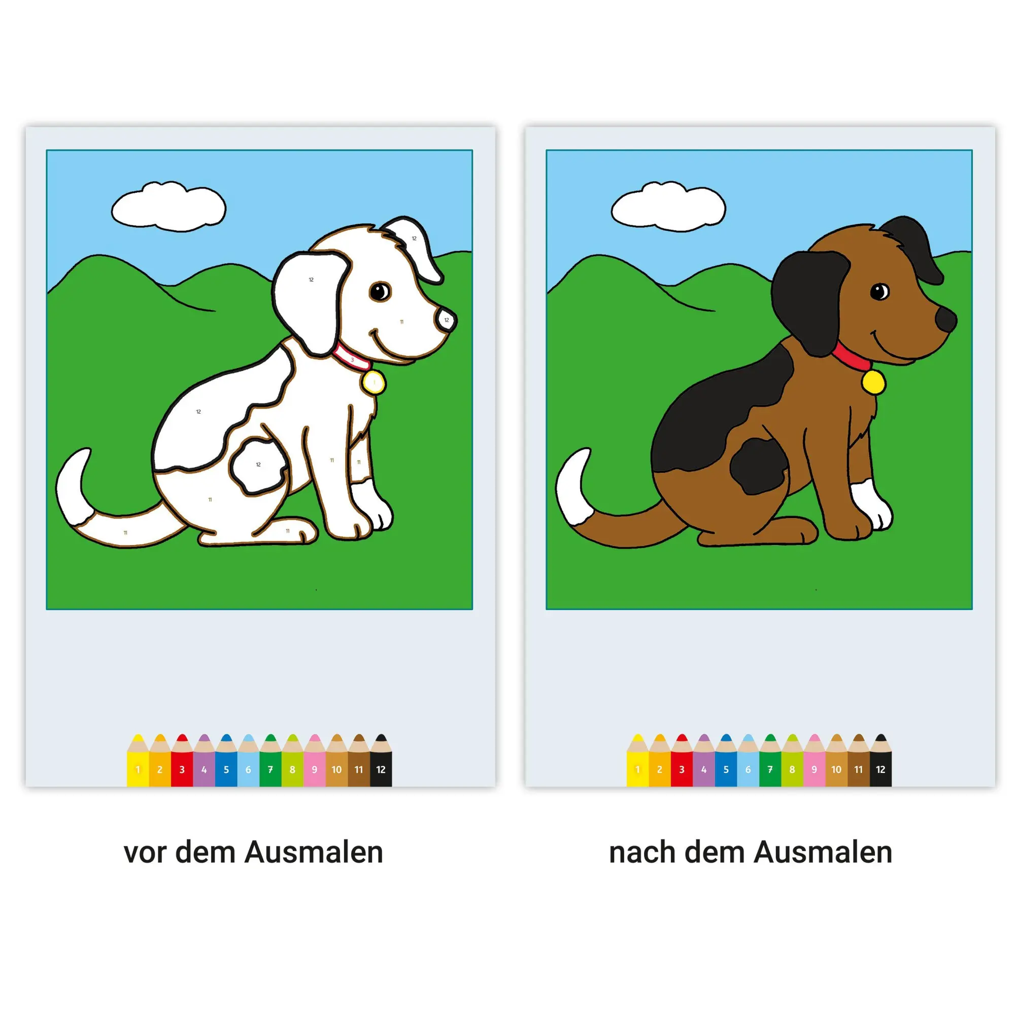 Bild: 9783473488407 | My first CreArt Malen nach Zahlen ab 3 - Tiere | Katrin Merle | Buch