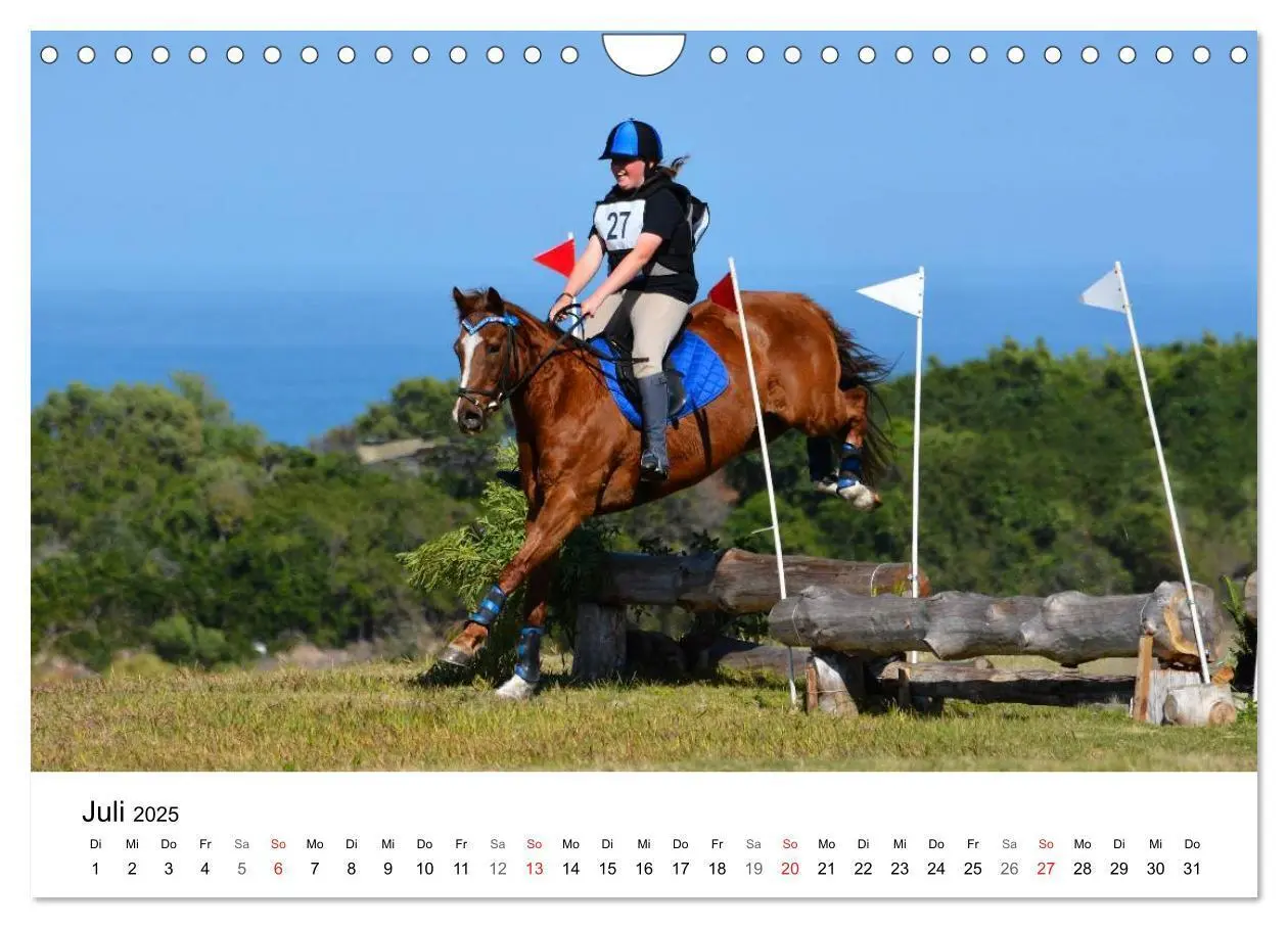 Bild: 9783435618507 | Vielseitigkeitsreiten (Wandkalender 2025 DIN A4 quer), CALVENDO...