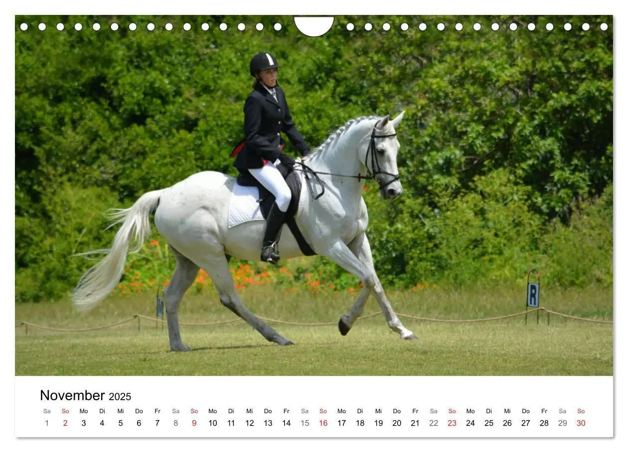 Bild: 9783435618507 | Vielseitigkeitsreiten (Wandkalender 2025 DIN A4 quer), CALVENDO...