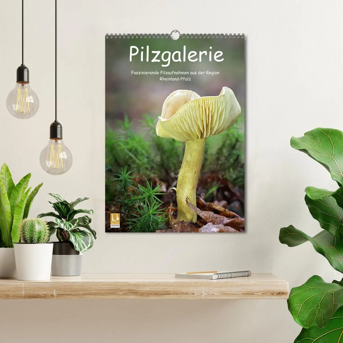 Bild: 9783516408607 | Pilzgalerie - Faszinierende Pilzaufnahmen aus der Region...