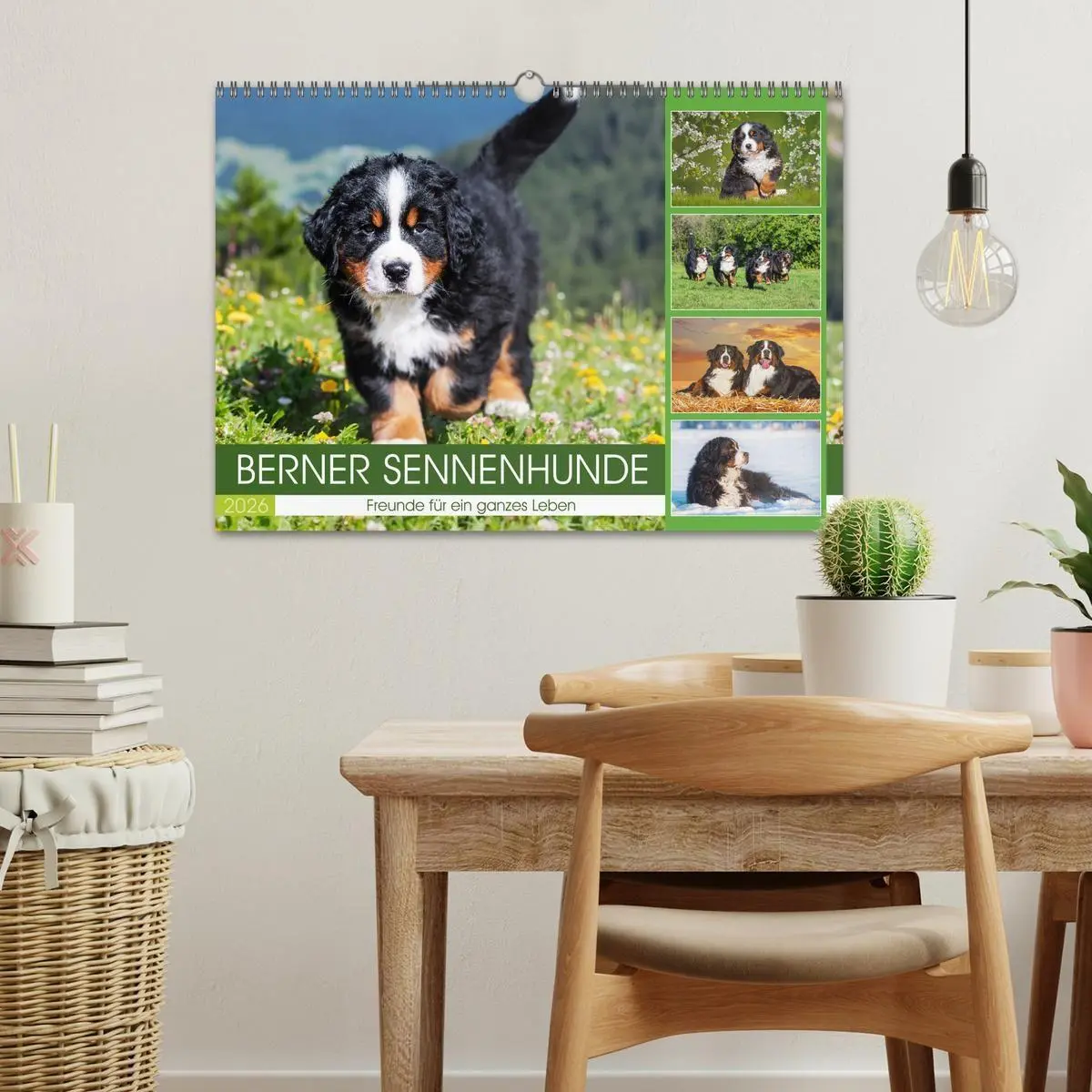 Bild: 9783516718607 | Berner Sennenhunde - Freunde für ein ganzes Leben (Wandkalender...