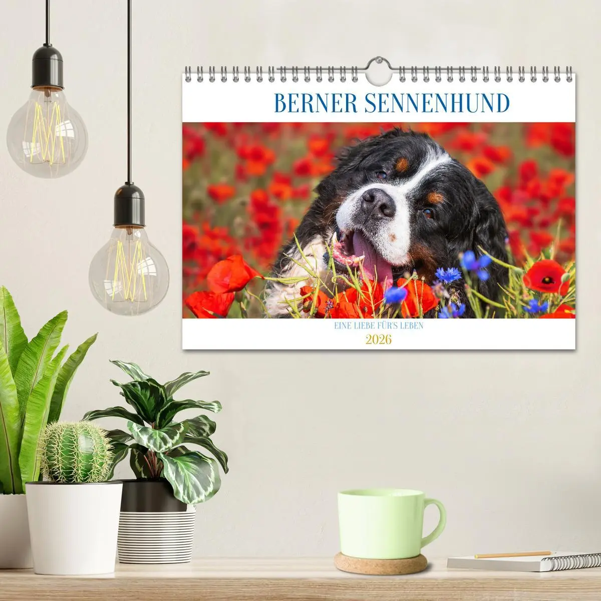 Bild: 9783457548707 | Berner Sennenhund - Eine Liebe für´s Leben (Wandkalender 2026 DIN...