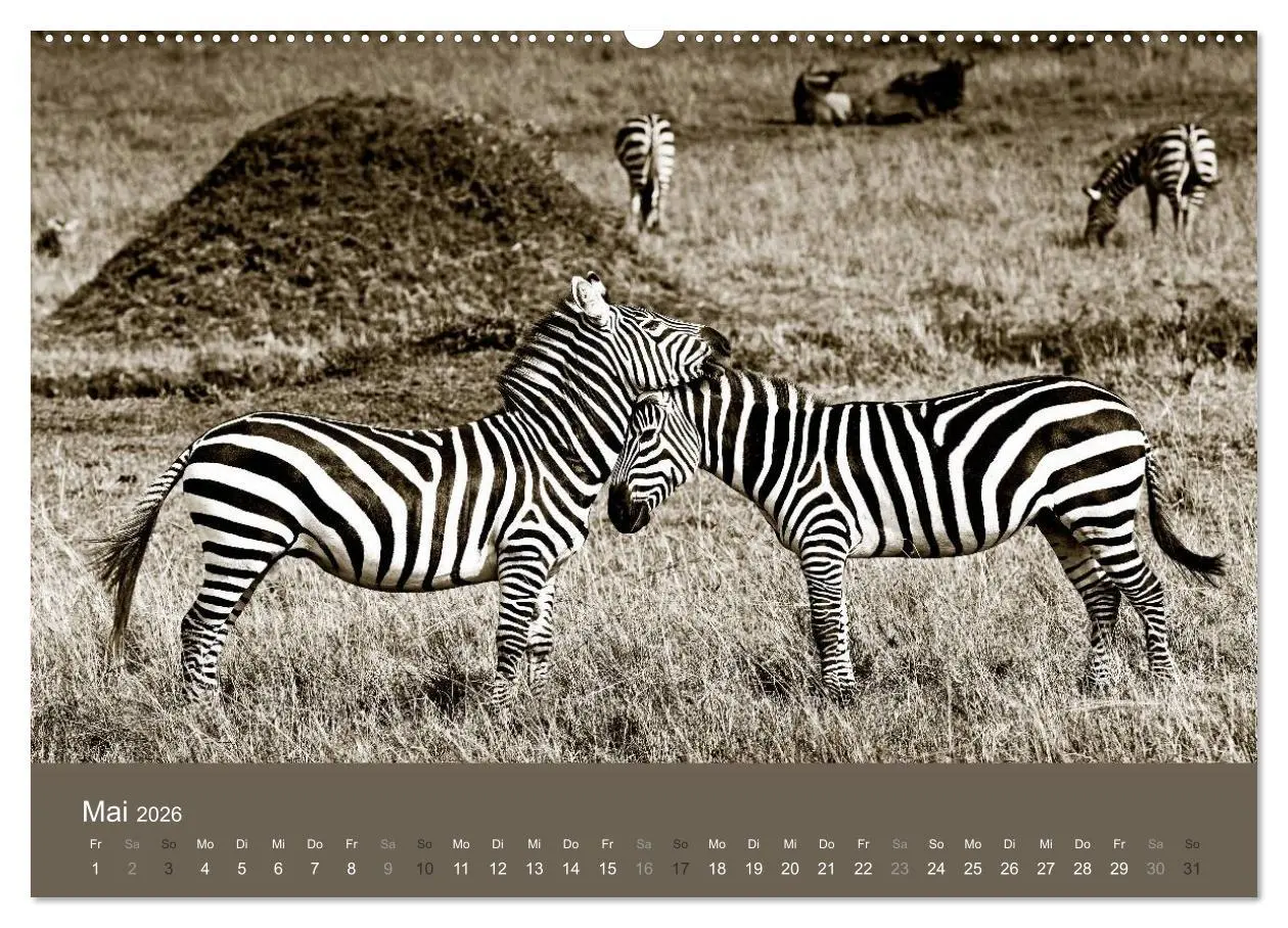 Bild: 9783516188707 | Wildes Afrika (hochwertiger Premium Wandkalender 2026 DIN A2 quer),...
