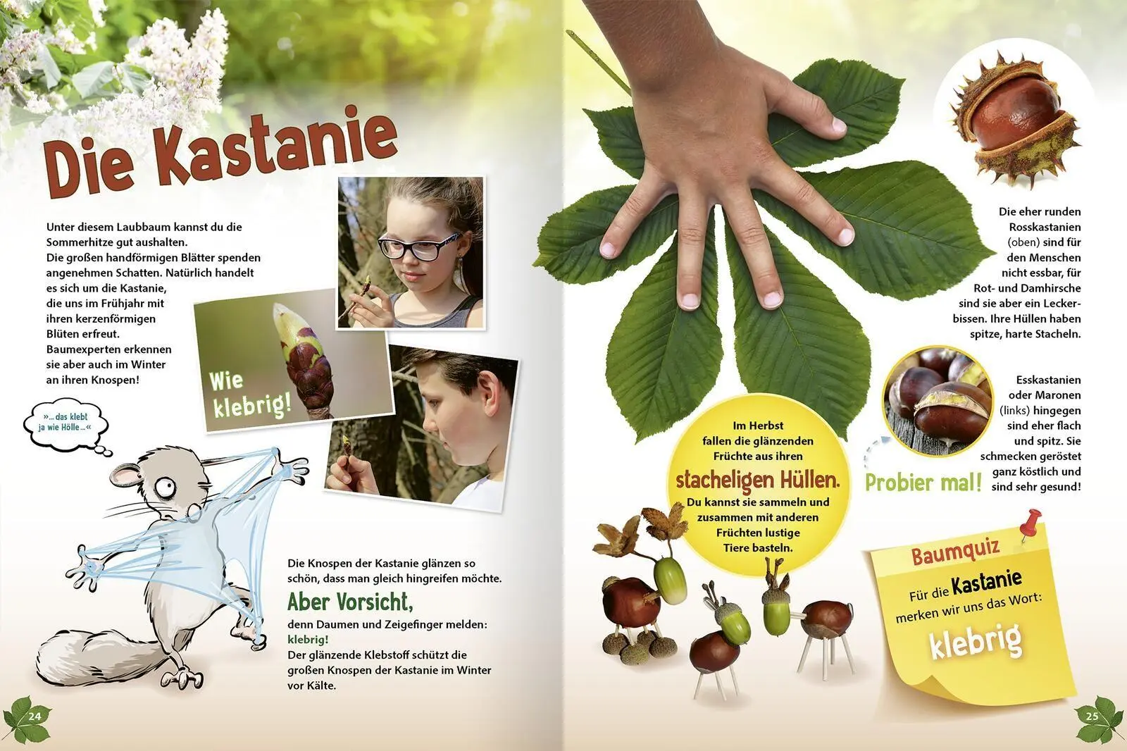 Bild: 9783845868707 | Unsere Wälder | Heimische Bäume und Tiere erkennen und verstehen