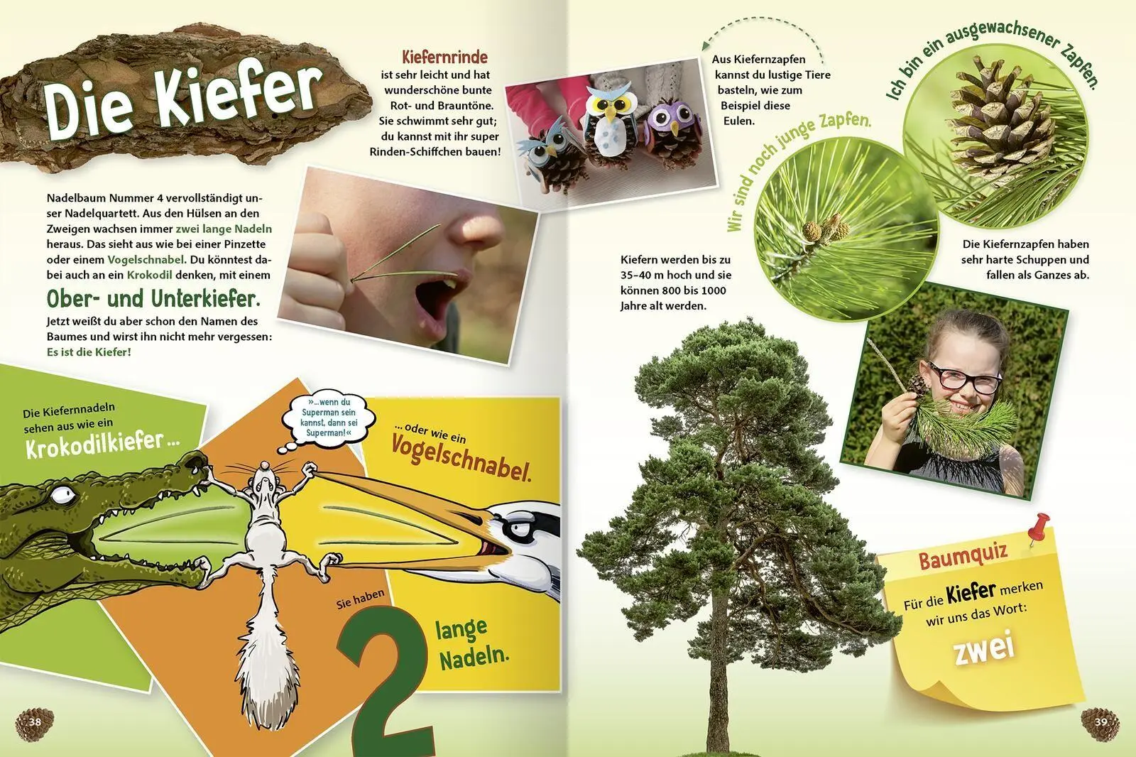 Bild: 9783845868707 | Unsere Wälder | Heimische Bäume und Tiere erkennen und verstehen