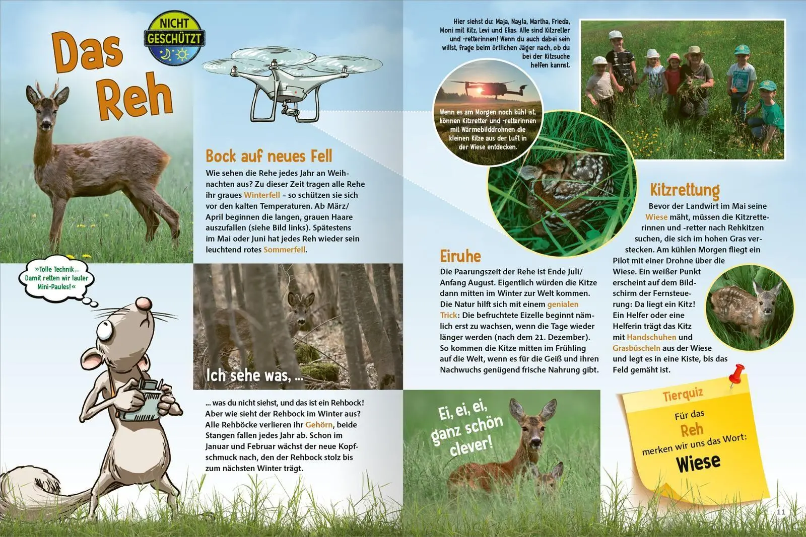 Bild: 9783845868707 | Unsere Wälder | Heimische Bäume und Tiere erkennen und verstehen