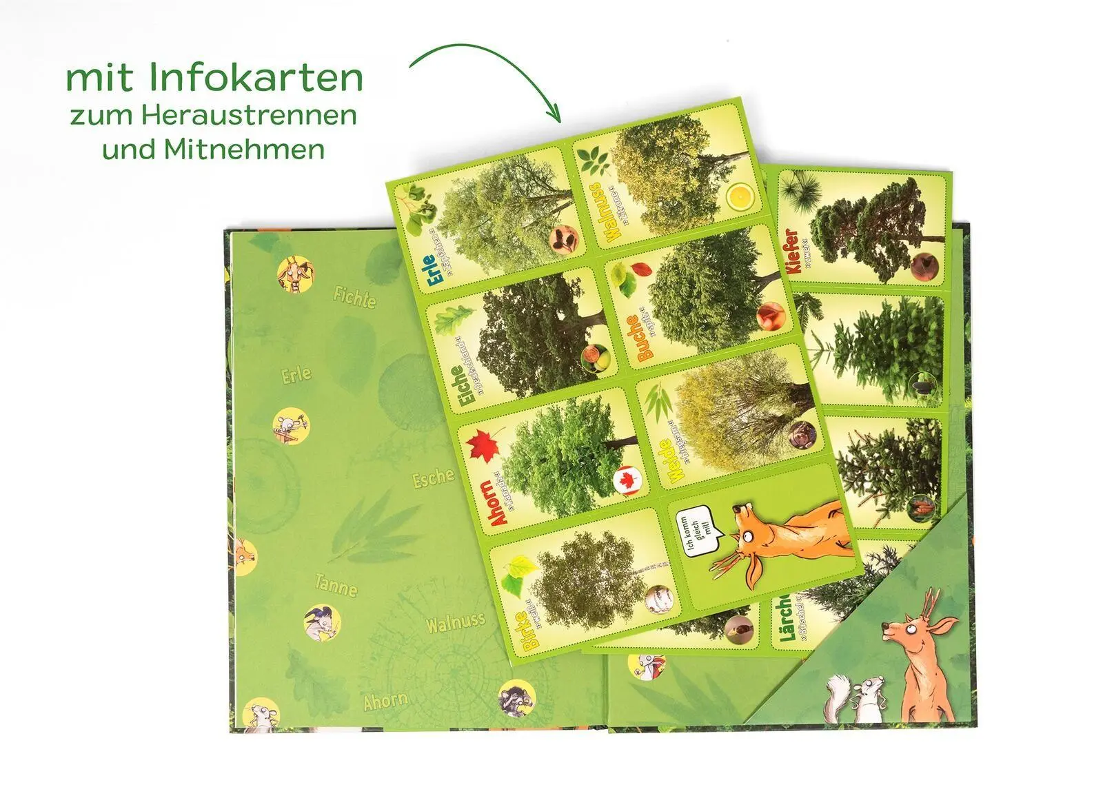 Bild: 9783845868707 | Unsere Wälder | Heimische Bäume und Tiere erkennen und verstehen