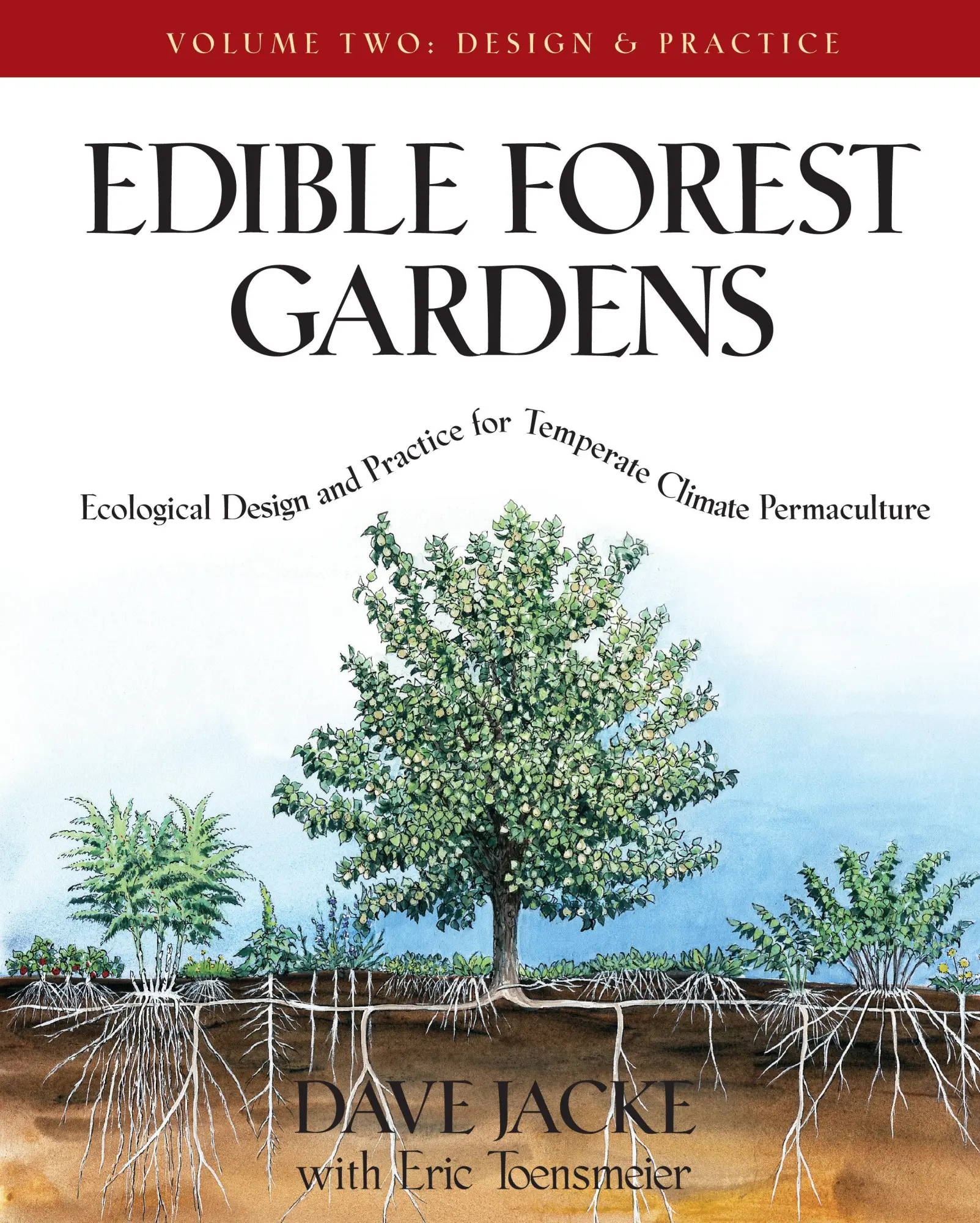 Cover: 9781931498807 | Edible Forest Gardens, Volume II | Dave Jacke (u. a.) | Buch | 2005