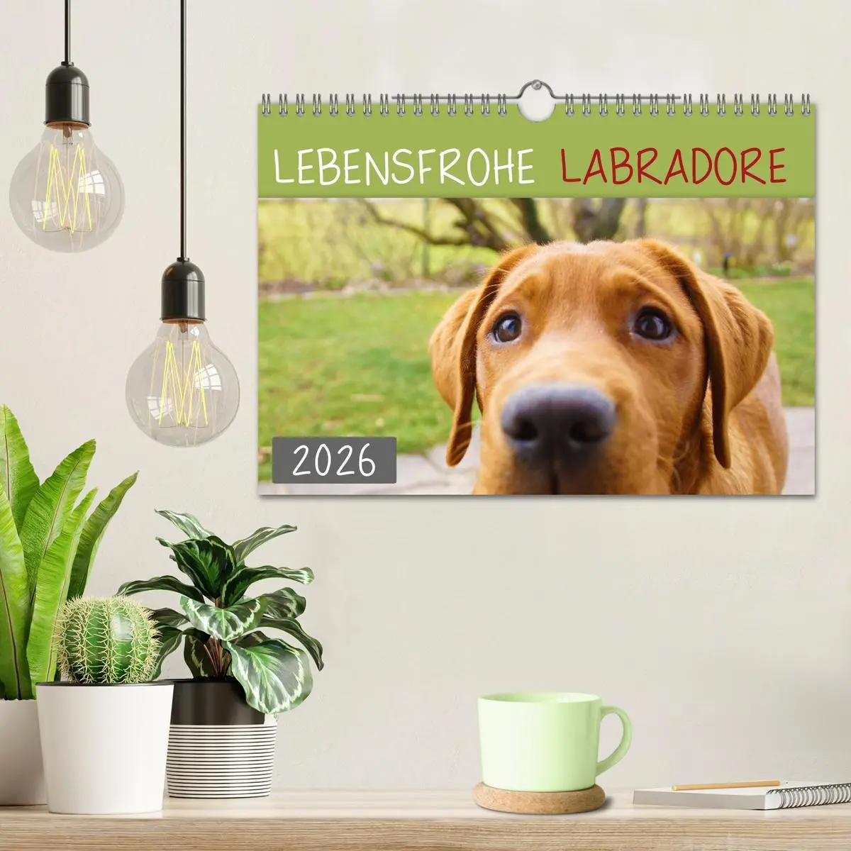Bild: 9783457778807 | Lebensfrohe Labradore (Wandkalender 2026 DIN A4 quer), CALVENDO...
