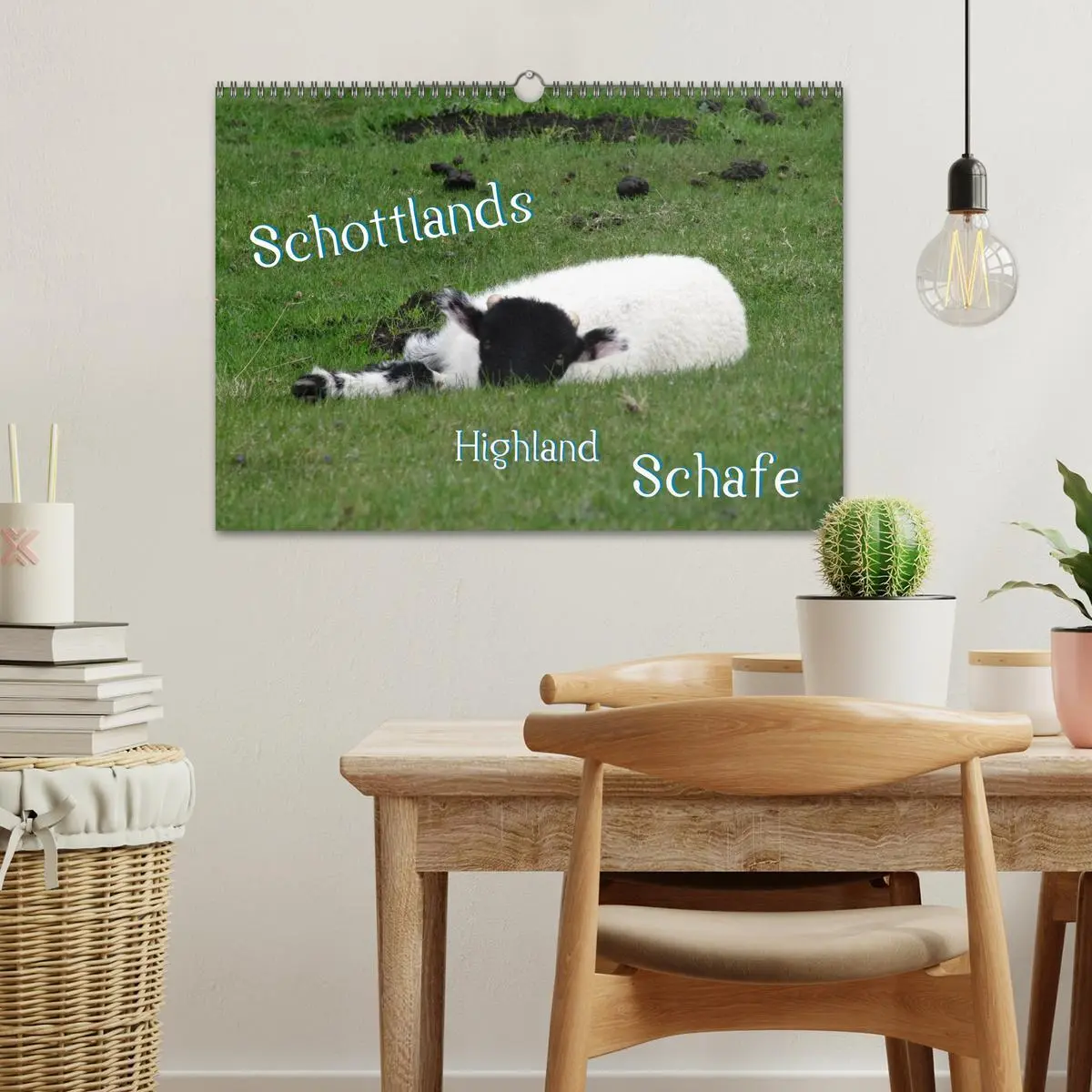 Bild: 9783516178807 | Schottlands Highland Schafe (Wandkalender 2026 DIN A3 quer),...