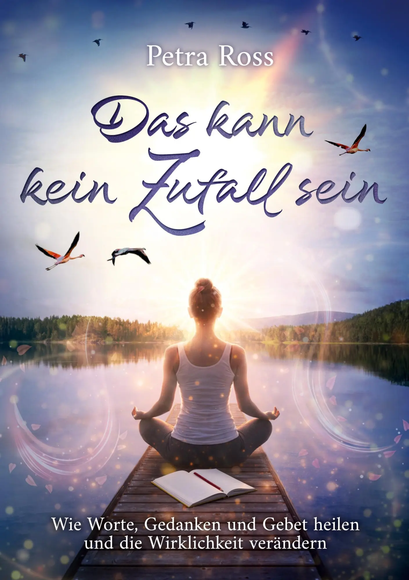 Cover: 9783696368807 | Das kann kein Zufall sein | Petra Ross | Taschenbuch | 172 S. | 2026